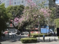 P1080446