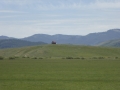 P1110334