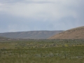 P1110356