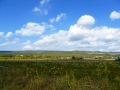 P1030423