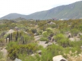 P1290253