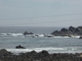P1290261