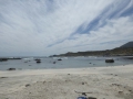 P1290273