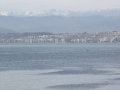 P1290291