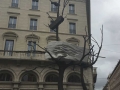 Foto 12.03.18, 14 14 16