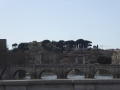 P1150622