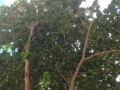 Foto 1[1]