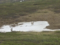 P1080363