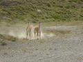 P1350236