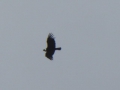 P1350255