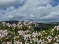 P1260409