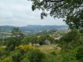 P1250739