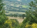 P1250747