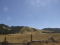 P1130809