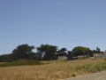 P1130825