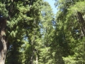 P1130886