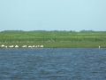 P1310757