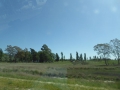 P1310793