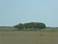 P1310797