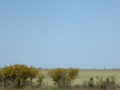 P1310799