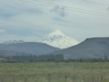 P1360901