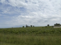 P1140089