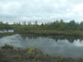 P1030043