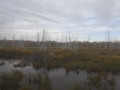 P1030733
