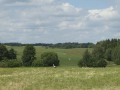 P1220358