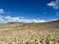 IMG_6117