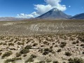 IMG_6132