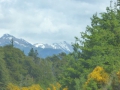 P1360464