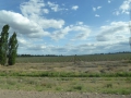 P1300451