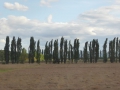 P1300455