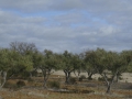 P1160381