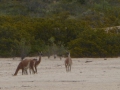 P1310973
