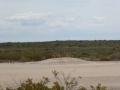 P1310976