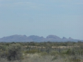 P1310979