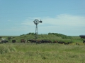 P1310665