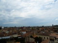 P1020431