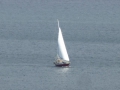 P1070241