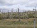 P1340126
