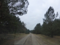 P1090269.jpg