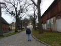 P1090341.jpg