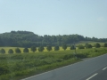 P1160512