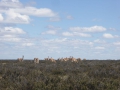 P1330776
