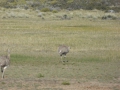 P1330885