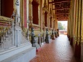IMG_5156