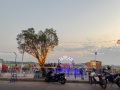 IMG_8157
