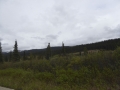 P1070386